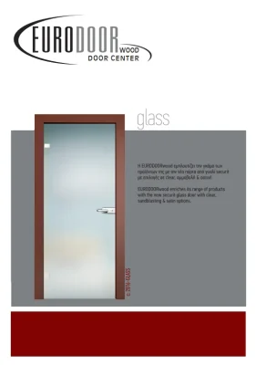 SECURITY GLASS DOOR